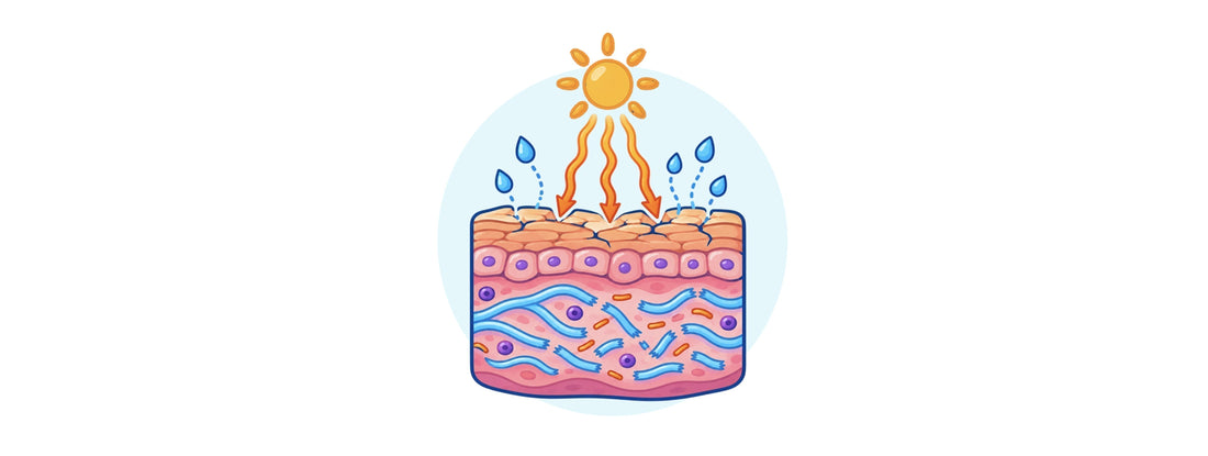 Summer left a mark on your skin