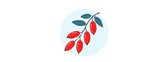 Is berberine really nature’s Ozempic?
