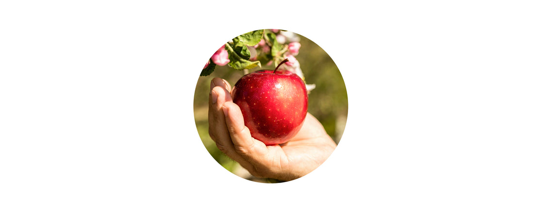 Does an apple a day really keep the doctor away?