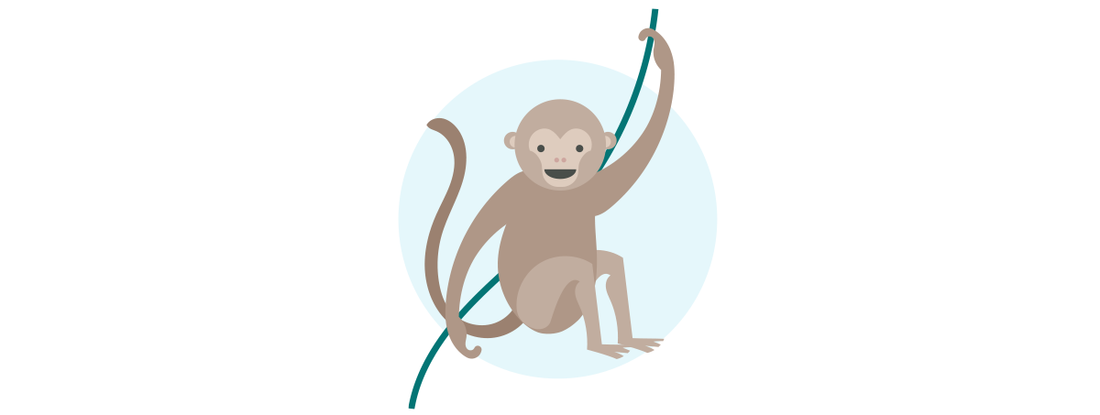 Metformin's monkey miracle?