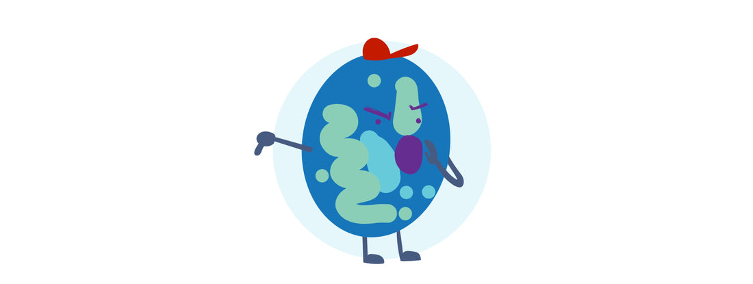 Butyrate: your secret weapon against aging cells